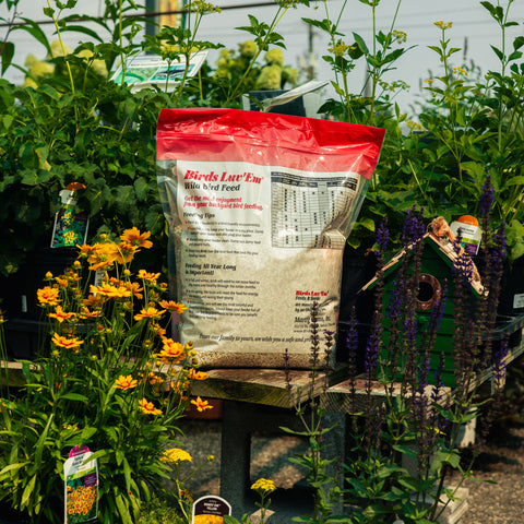 A bag of Birds Luv' Em seed mix displayed on a wooden table in a garden setting, surrounded by plants, flowers, and a birdhouse.