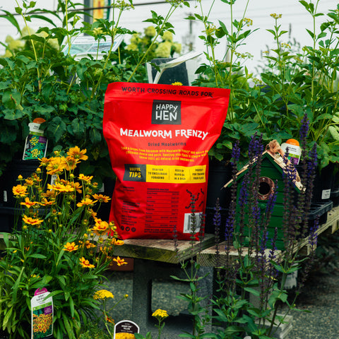 A red bag of Happy Hen Mealworm Frenzy digestible plant food placed on a wooden table in a garden center, surrounded by potted plants and flowers.