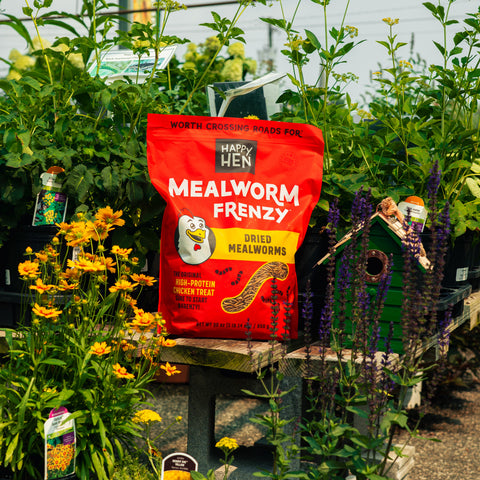 A red bag of Happy Hen Mealworm Frenzy dried mealworms snack stands on a small wooden bench in a garden setting surrounded by plants, flowers, and a birdhouse.
