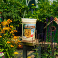 A white plastic bucket of Nutsie organic bird seed sits on a wooden table in a garden nursery setting, surrounded by green plants, yellow flowers, and a small green birdhouse.