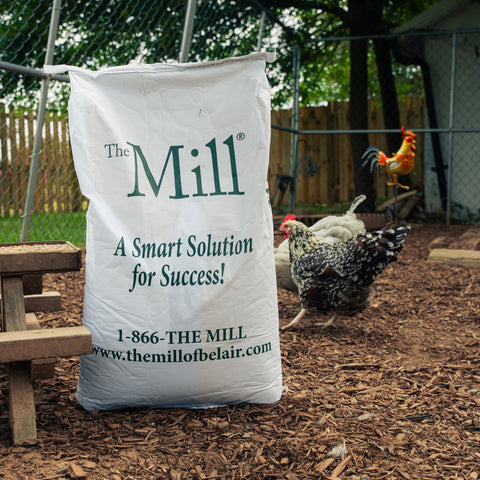 A large white paper bag printed with 'The Mill' and contact information stands on a wood chip ground in a backyard. Chickens are visible in the background near a fence and wooden structure.