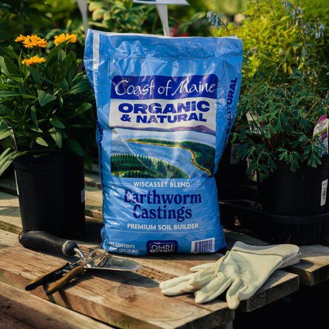 Bag of Coast of Maine Organic & Natural Earthworm Castings on a wooden surface with gardening tools and gloves.