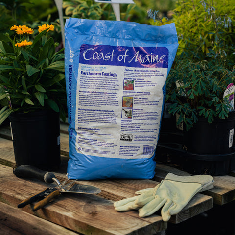 Bag of Coast of Maine compost on a wooden table with gardening tools and gloves, surrounded by plants.