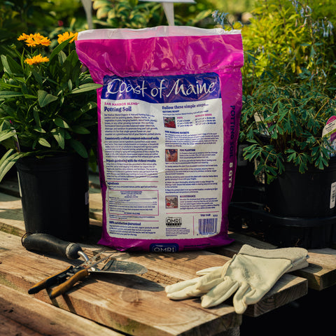 Bag of Coast of Maine potting soil on a wooden table with gardening tools and gloves.
