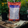 Bag of Coast of Maine indoor houseplant mix on a wooden surface with gardening tools and gloves.