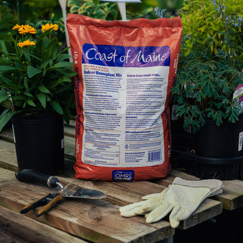Bag of Coast of Maine indoor houseplant mix on a wooden surface with gardening tools and gloves.