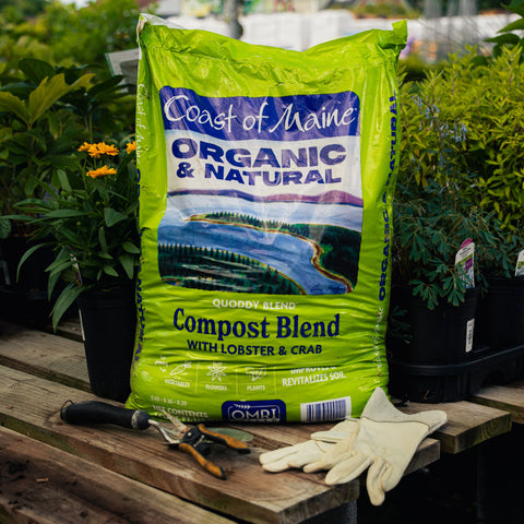 Bag of Coast of Maine Organic & Natural Compost Blend on a wooden table with gardening tools and gloves.