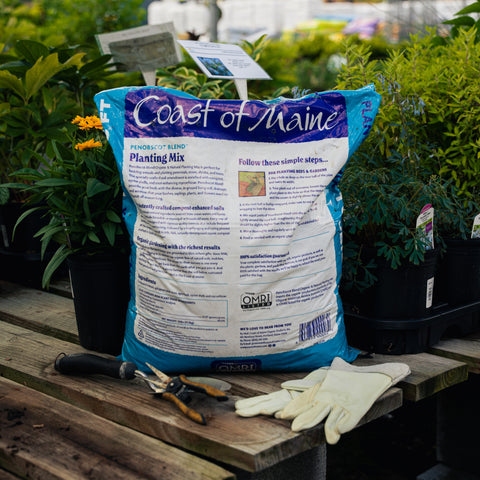 Bag of Coast of Maine planting mix on a wooden table with gardening tools and gloves.