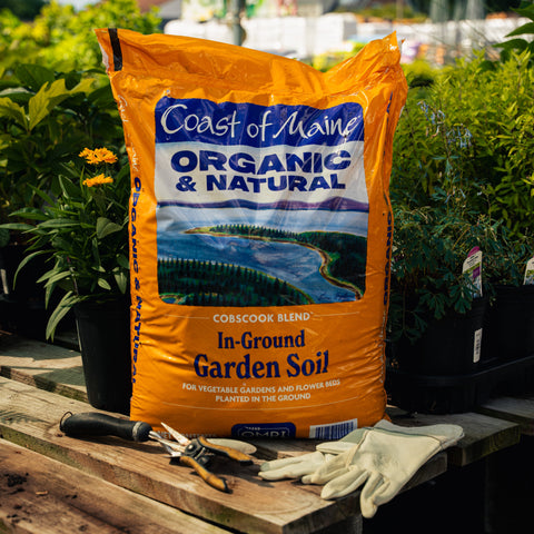 Bag of Coast of Maine Organic & Natural garden soil on a wooden surface with gardening tools and gloves.