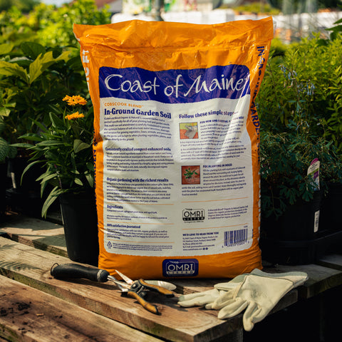 Bag of Coast of Maine in-ground garden soil on a wooden table with gardening tools and gloves.