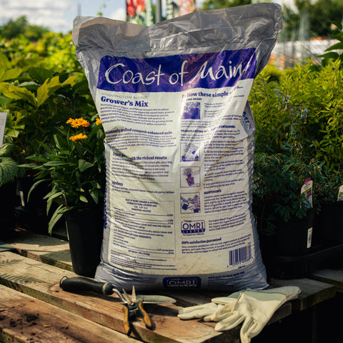 Back of Bag of Coast of Maine Organic & Natural Grower's Mix on a wooden surface with gardening tools and gloves.