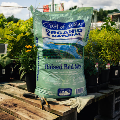 Bag of Coast of Maine Organic & Natural Raised Bed Mix on a wooden pallet with gardening tools and gloves.