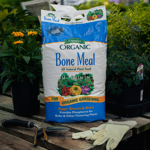 Bag of Espoma Organic Bone Meal plant food on a wooden surface with gardening tools and plants in the background.