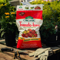 Bag of Organic Tomato-tone fertilizer with gardening tools and gloves on a wooden surface.
