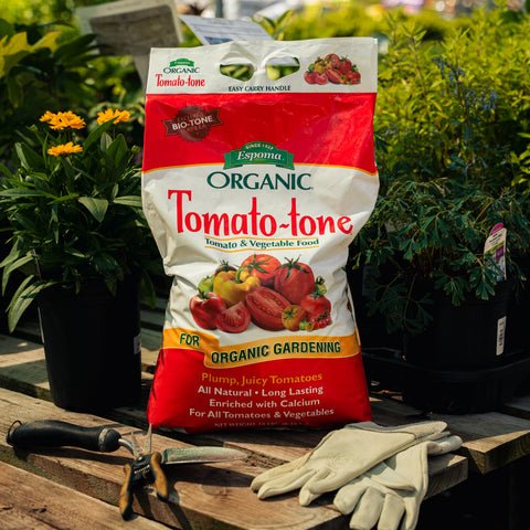 Bag of Organic Tomato-tone fertilizer with gardening tools and gloves on a wooden surface.