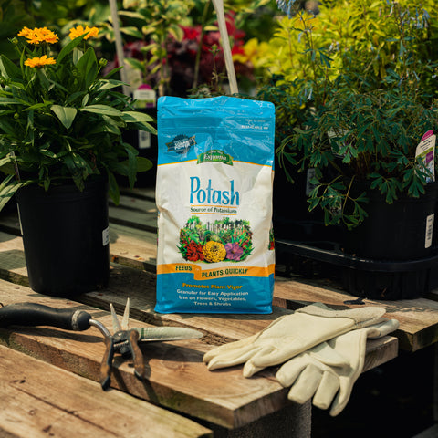Polash fertilizer bag on a wooden table with gardening tools and gloves, surrounded by plants.