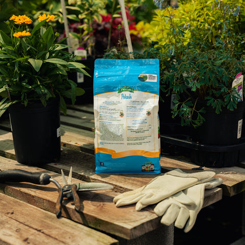Fertilizer bag on a wooden table with gardening tools and gloves, surrounded by plants.