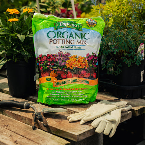 Bag of Espoma Organic Potting Mix on a wooden table with gardening tools and gloves.