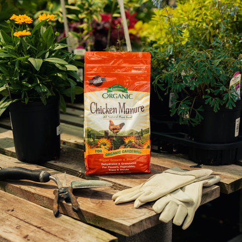 Bag of organic chicken manure on a wooden table with gardening tools and plants in the background