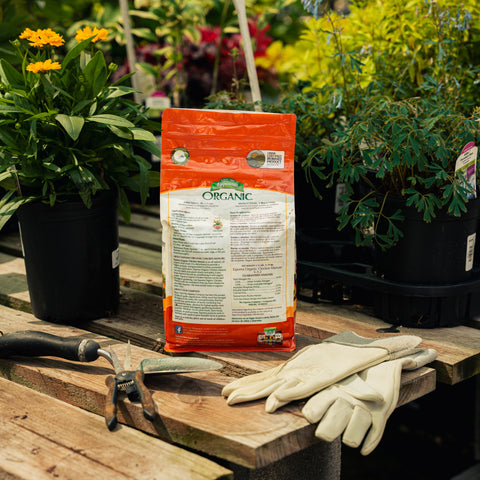Gardening tools and gloves on a wooden table with an organic fertilizer bag in the background.