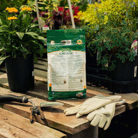 Gardening tools and gloves on a wooden table with a bag of organic fertilizer in the background.
