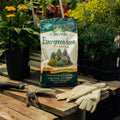 Evergreen-tone organic tree and shrub food package on a wooden table with gardening tools and gloves.