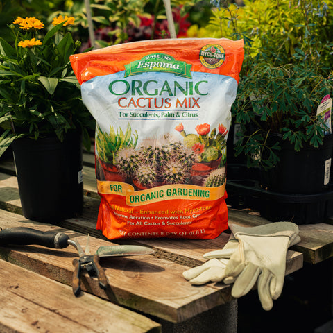 Bag of Espoma Organic Cactus Mix on a wooden table with gardening tools and gloves.