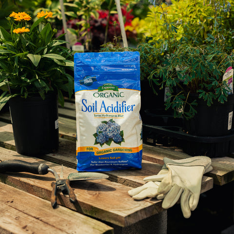 Bag of organic soil acidifier on a wooden table with gardening tools and gloves, surrounded by plants.
