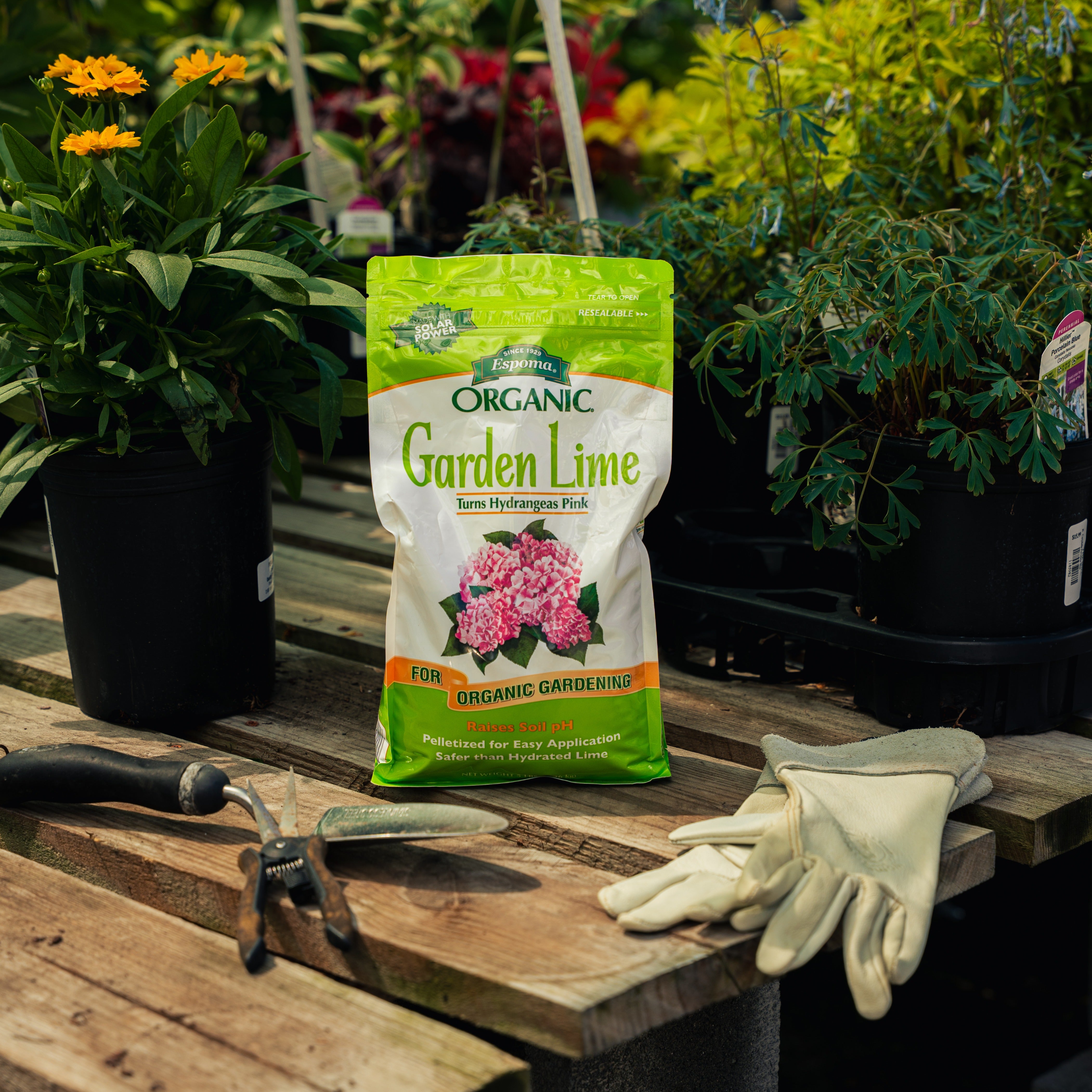 Espoma Garden Lime | Organic Fertilizer to Raise Soil pH | The Mill