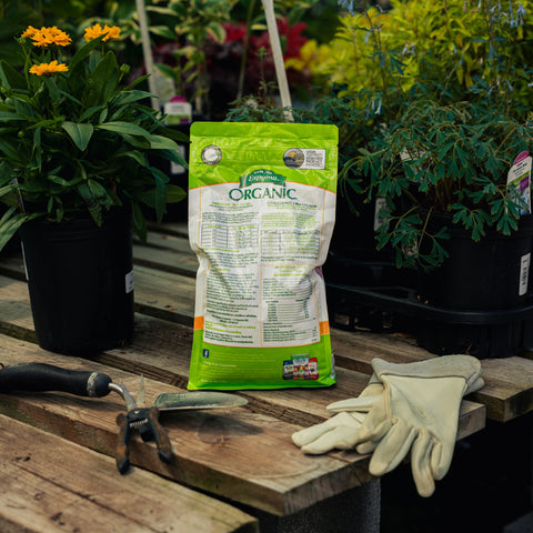 Bag of organic fertilizer on a wooden table with gardening tools and gloves, surrounded by plants.