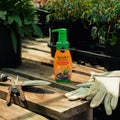 Pump bottle of succulent plant food on a wooden surface with gardening tools and gloves.