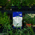 A bag of Garden Food plant starter fertilizer stands on a black nursery shelf surrounded by green potted plants.