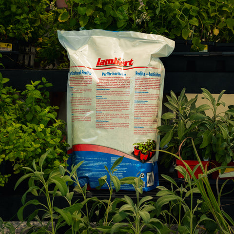 A large bag of Lambert Perlite potting medium stands on a black display shelf surrounded by green potted plants in a greenhouse or garden center.