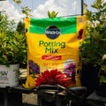 A large yellow and green bag of Miracle-Gro Potting Mix stands on a wooden table in a garden setting, surrounded by potted plants and gardening shears.
