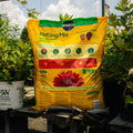 A large yellow Miracle-Gro Potting Mix bag stands on a wooden table outdoors, surrounded by potted green plants. A hand tool rests on the table in front of the bag.