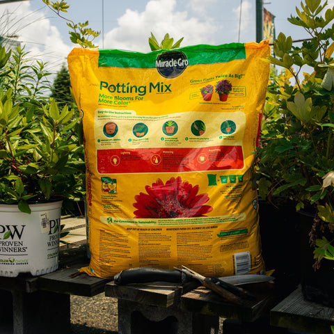 A large yellow Miracle-Gro Potting Mix bag stands on a wooden table outdoors, surrounded by potted green plants. A hand tool rests on the table in front of the bag.