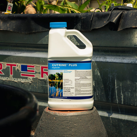 A white plastic jug of Cutrine Plus Aquatic herbicide with a blue cap, sitting on a stone pedestal in front of a black pond liner.