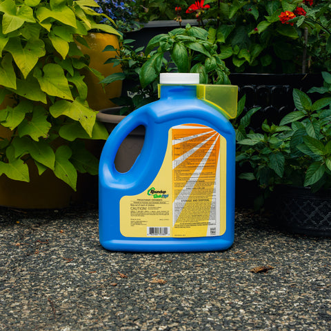 A blue plastic bottle of Roundup QuickFlow herbicide stands on a gravel surface between potted green plants.