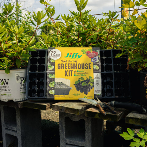 Jiffy Seed Starting Greenhouse Kit box displayed on a wooden table in a garden center, surrounded by potted plants, seedling trays, pruning shears, and cinderblock stands.