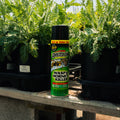 A can of Spectracide Wasp & Hornet Killer insect spray stands on a wooden table between potted green plants in a garden center or nursery.