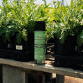 A can of Spectracide Wasp & Hornet Killer insect spray stands on a wooden table between potted green plants in a garden center or nursery.