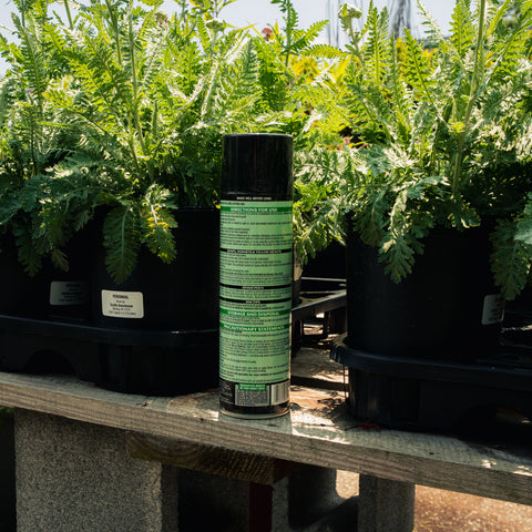 A can of Spectracide Wasp & Hornet Killer insect spray stands on a wooden table between potted green plants in a garden center or nursery.