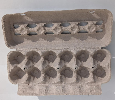 Egg Carton