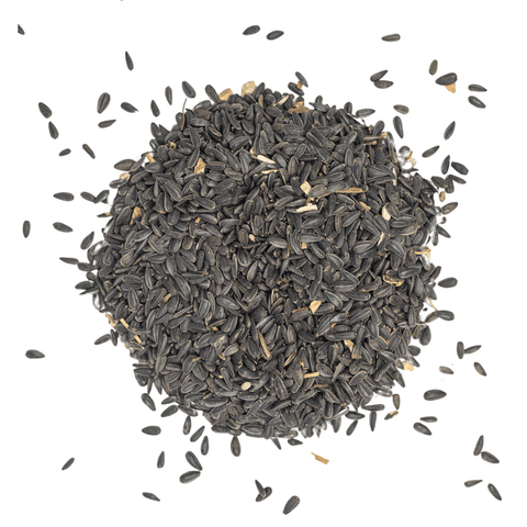 Black Oil Sunflower Seed