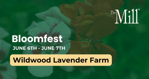 Promotional banner for Bloomfest at Wildwood Lavender Farm with 'The Mill' branding.