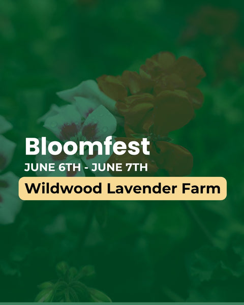 Promotional graphic for Bloomfest at Wildwood Lavender Farm with floral background