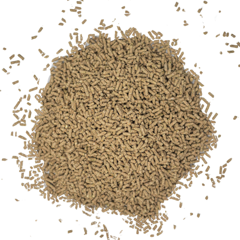 Buckeye Nutrition SAFE ‘N EASY™ Complete Horse Feed in a bag, showing the product packaging and branding.