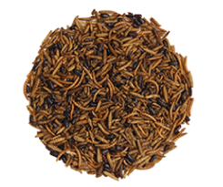 Spilled Wild Delight Bugs for Birds in 16 oz. pouch, bird food with dried insects, suitable for feeding wild birds.