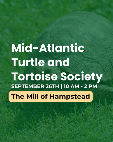 Promotional graphic for the Mid-Atlantic Turtle and Tortoise Society, featuring a large green-tinted turtle on grass with event text reading 'September 26th | 10 AM - 2 PM' and 'The Mill of Hampstead'.