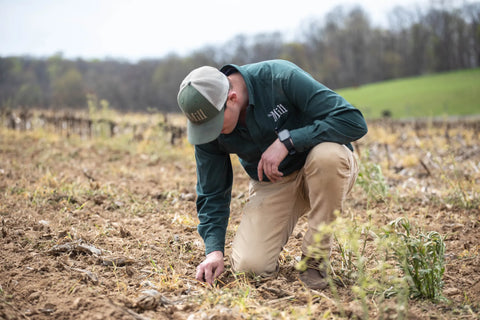 Agronomist checking seed depth